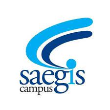 Saegis