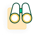 accounting-and-dashboards